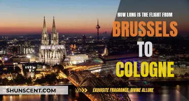 A Quick Flight: Brussels to Cologne Travel Time