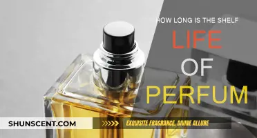 The Longevity of Fragrances: How Long Does Perfume Really Last?