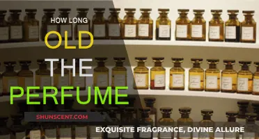Perfume Longevity: How Long Does It Last?