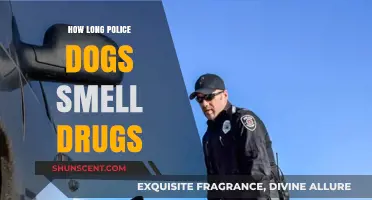 Sniffing Out Narcotics: The Remarkable Drug Detection Abilities of Police Dogs