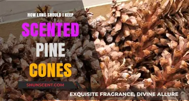 Preserving Pine Cone Scents: Optimal Storage Duration for Lasting Fragrance