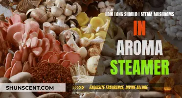 Steaming Mushrooms: How Long in an Aroma Steamer?