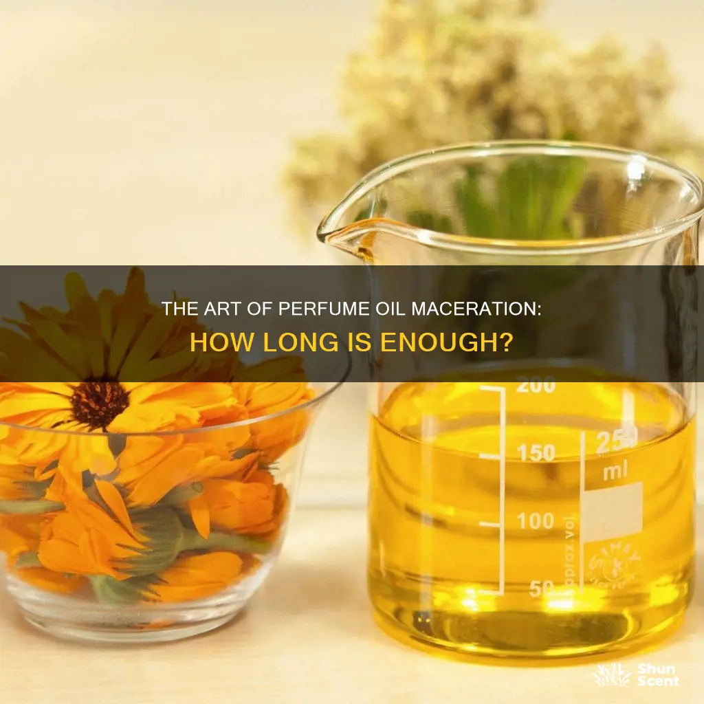 how long should you let a perfume oil macerate