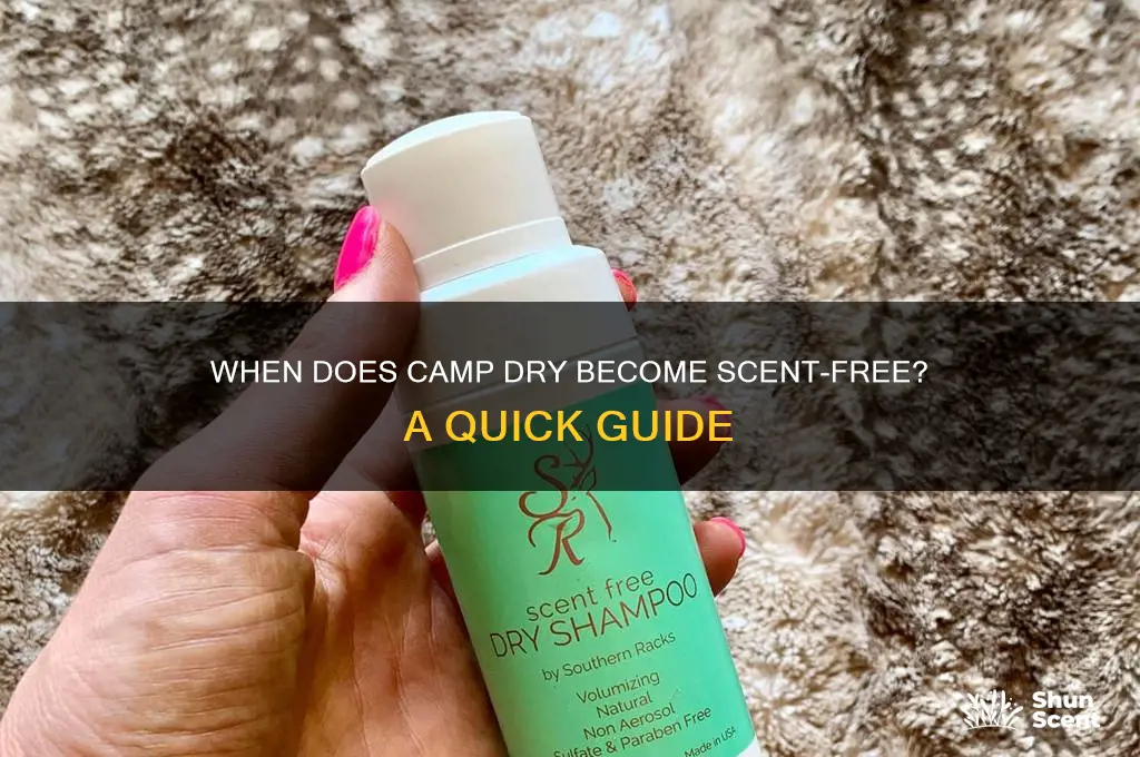 how long till camp dry is scent free