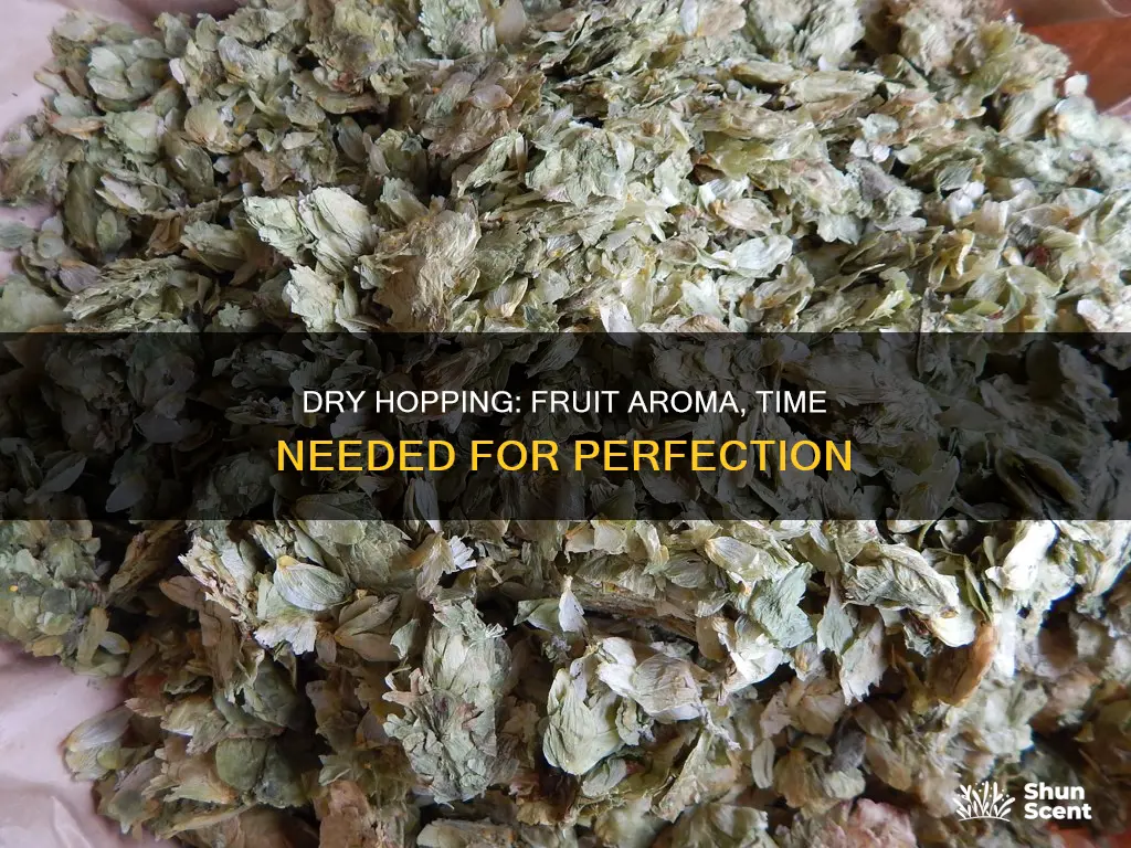 how long to dry hop fruit aroma