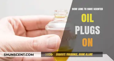 Maximizing Scented Oil Plug Lifespan: Optimal Usage Tips and Duration
