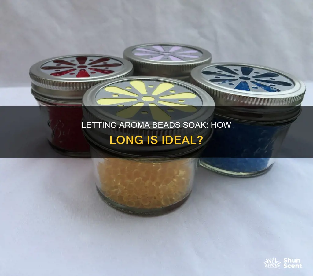 how long to let aroma beads soak