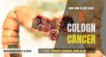 Living with Stage 3 Colon Cancer: Life Expectancy Explained