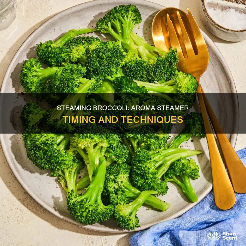 how long to steam broccoli in aroma steamer