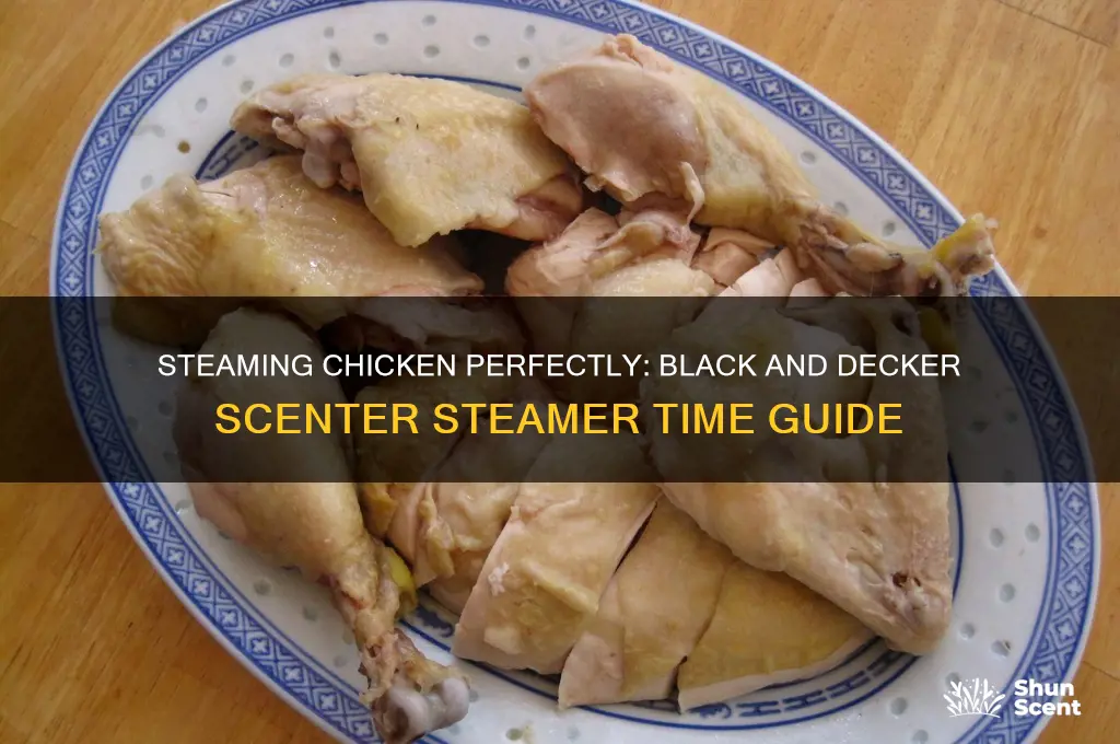 how long to steam chicken black and decker scenter steamer