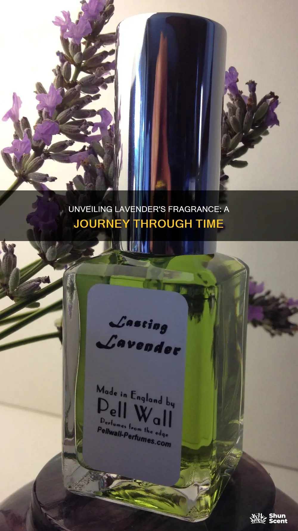 how long until lavander loses fragrance