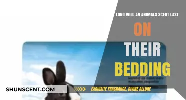 How Long Does an Animal's Scent Remain on Bedding?