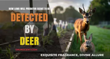 How Long Does Predator Scent Linger and Alert Deer?