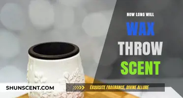 How Long Does Wax Scent Last? A Comprehensive Guide