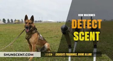 Unveiling the Science: How Machines Detect and Interpret Scents