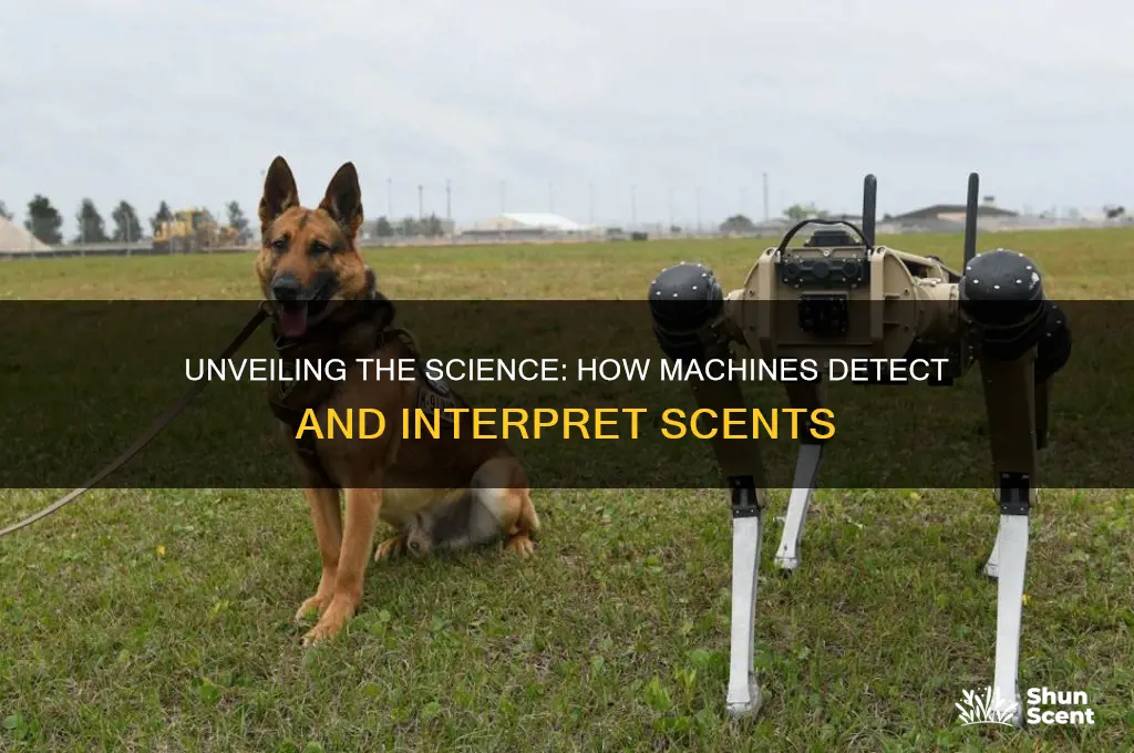 how machines detect scent