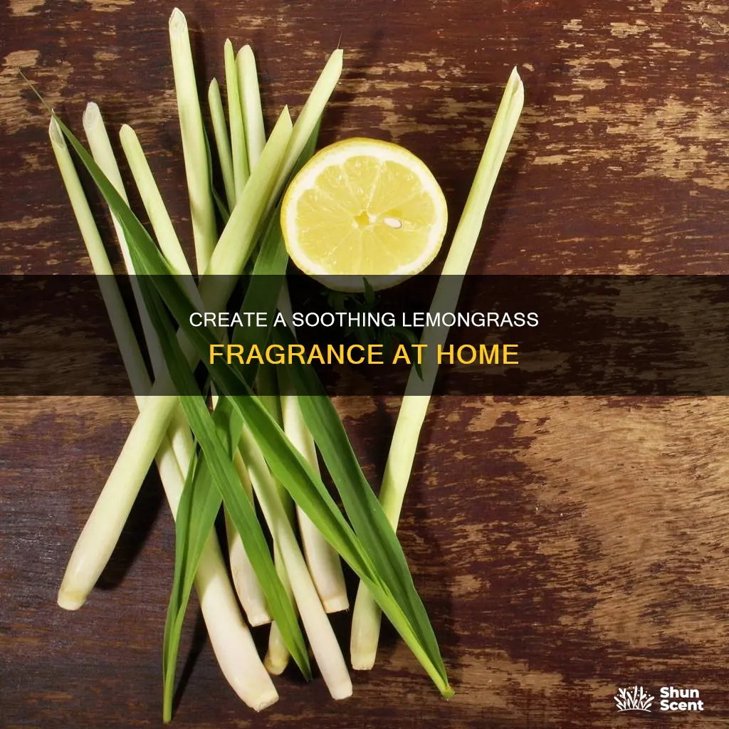 how make a fragrance using lemon grass