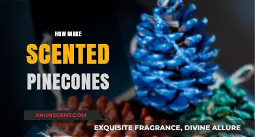 Crafting Fragrant Pinecones: A Simple Guide to Scented Decor