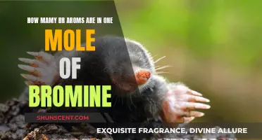 The Many Aromas of Bromine: A Mole's Worth