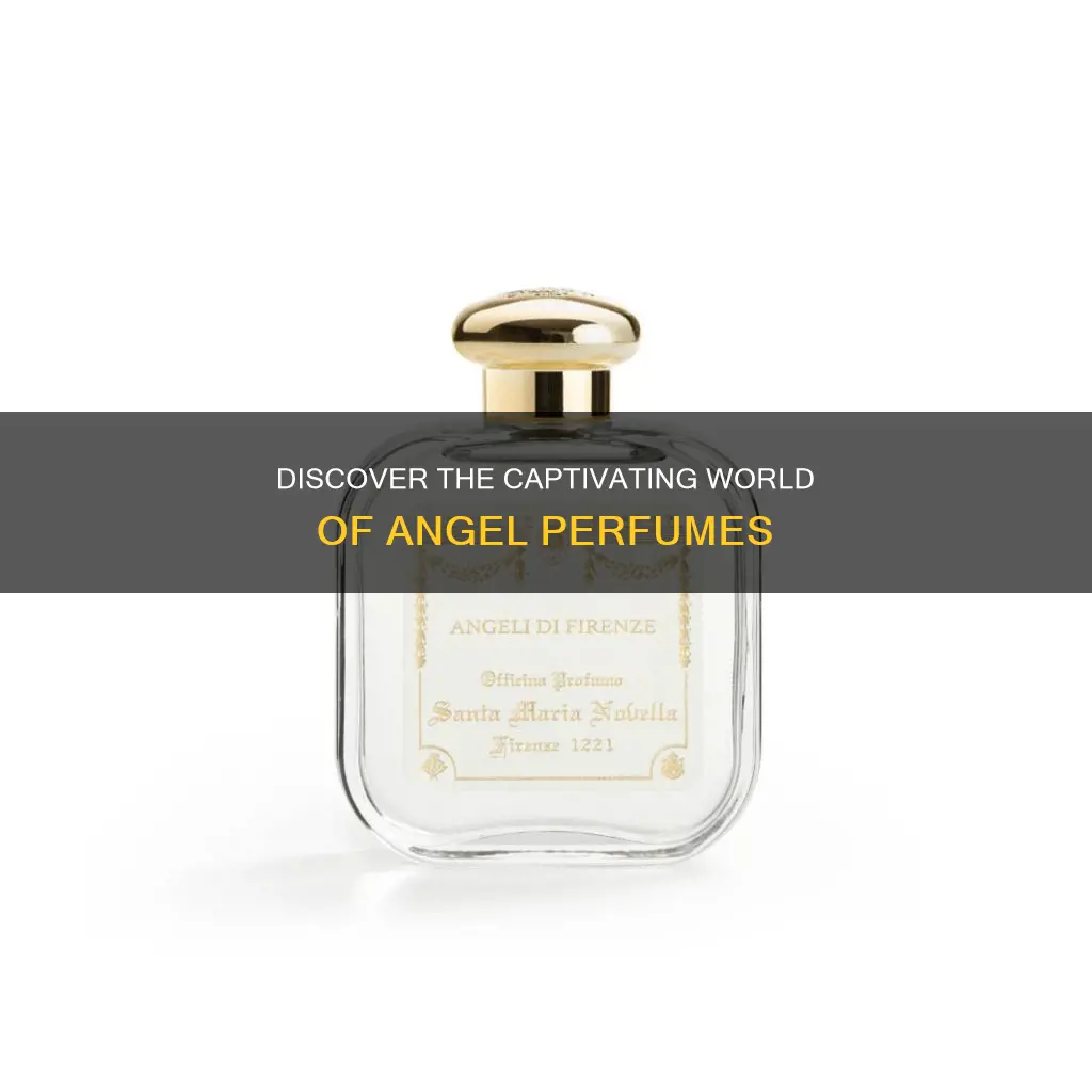 how many angel perfumes are there