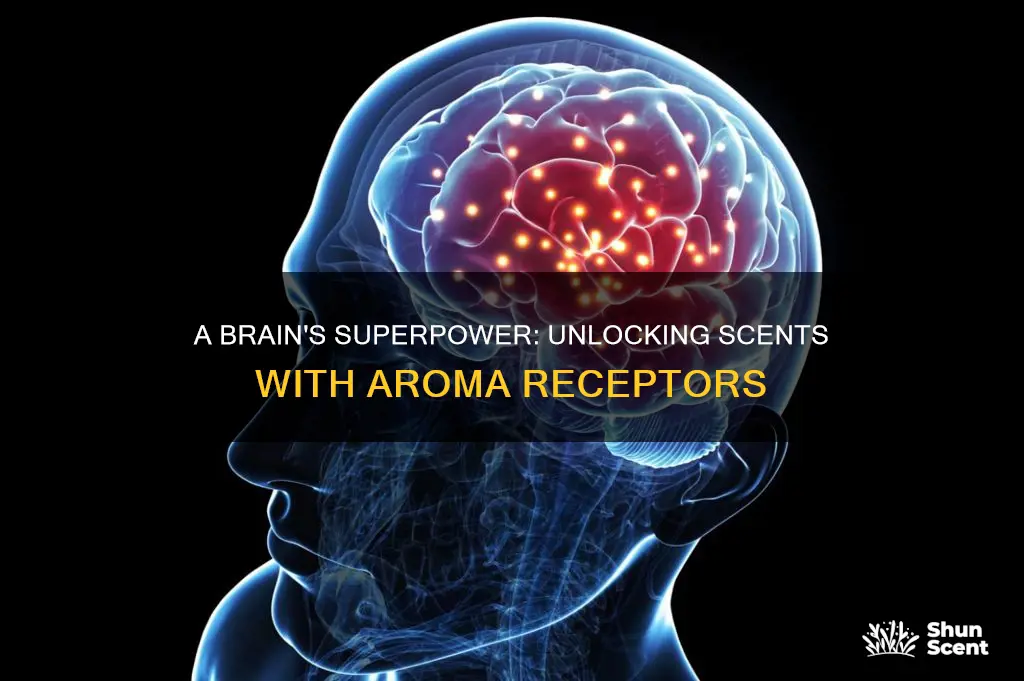 how many aroma receptors does our brain have