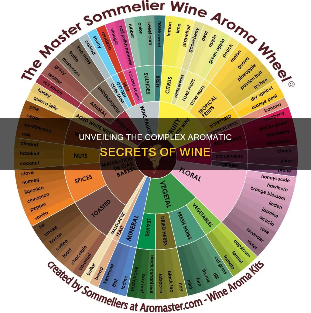 how many aromas can a single wine contain