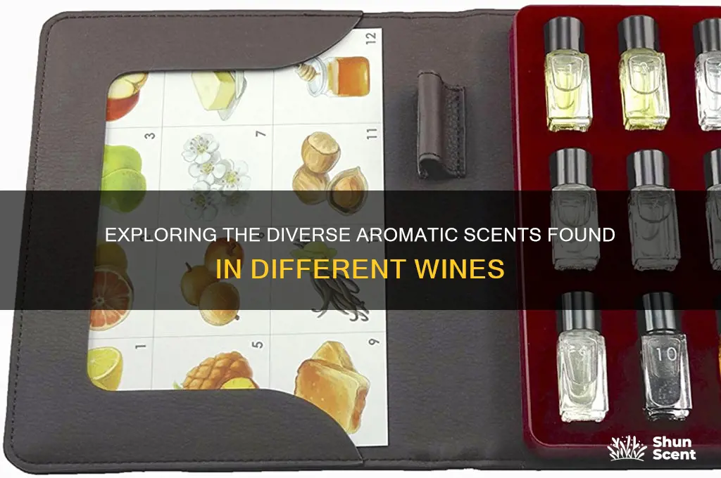 how many aromatic scents has wine