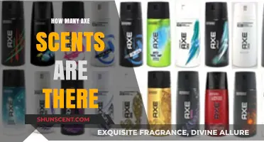 Exploring the Diverse Range of Axe Scents Available Today