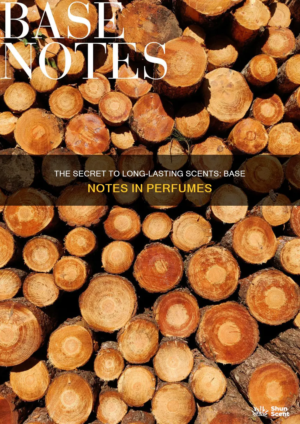 how many base note are in most perfumes