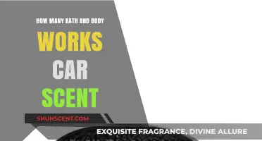 Discover the Variety of Bath & Body Works Car Scents Available