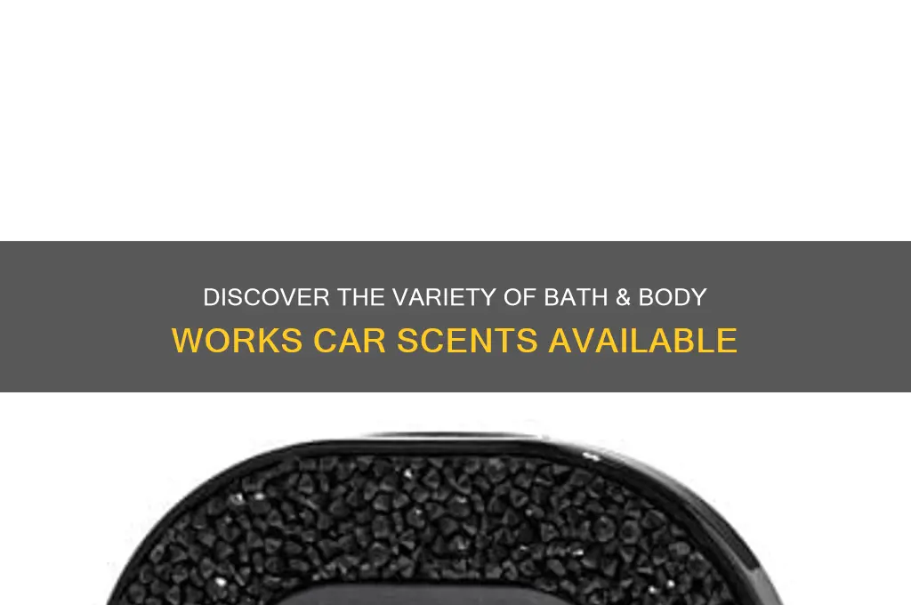 how many bath and body works car scent