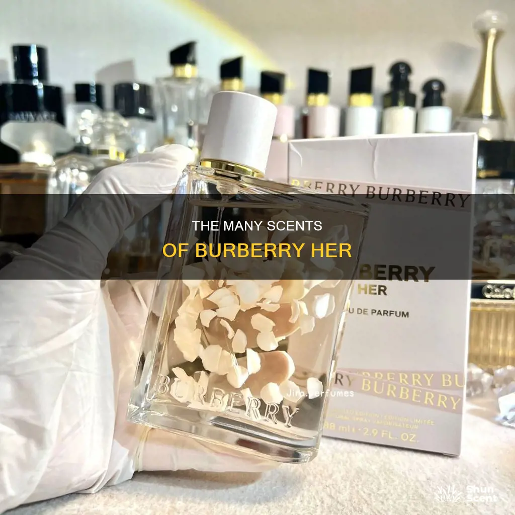 how many burberry her perfumes are there