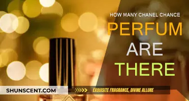 Chanel Chance: Discover the Fragrance Collection