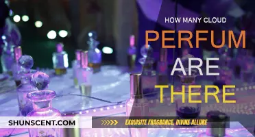 Exploring the Cloud: A Perfume Family