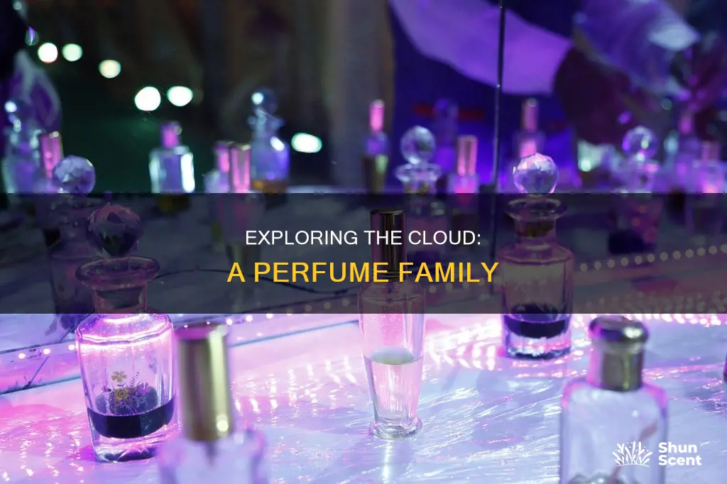 how many cloud perfumes are there