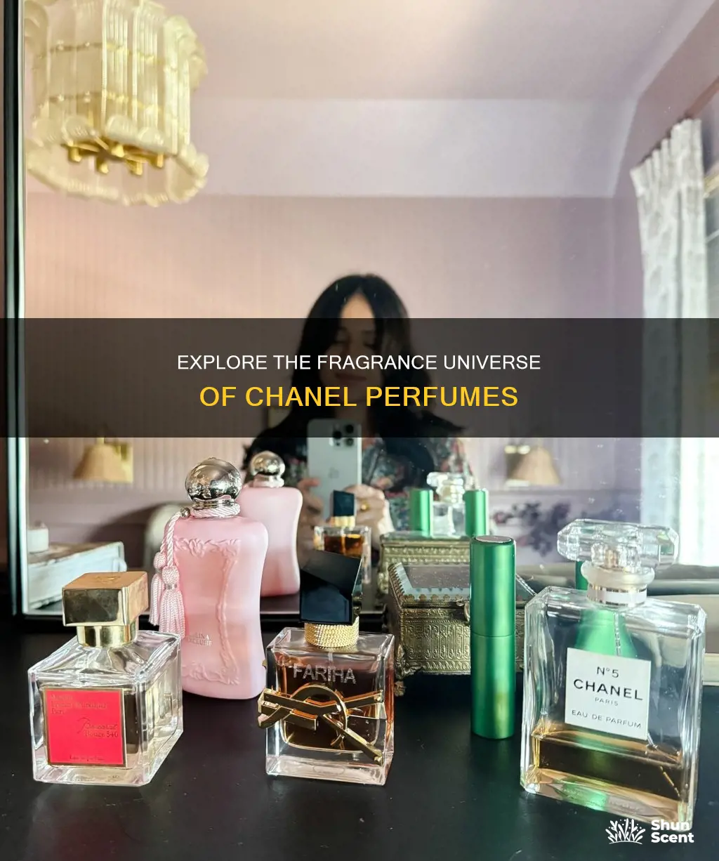 how many coco chanel perfumes are there