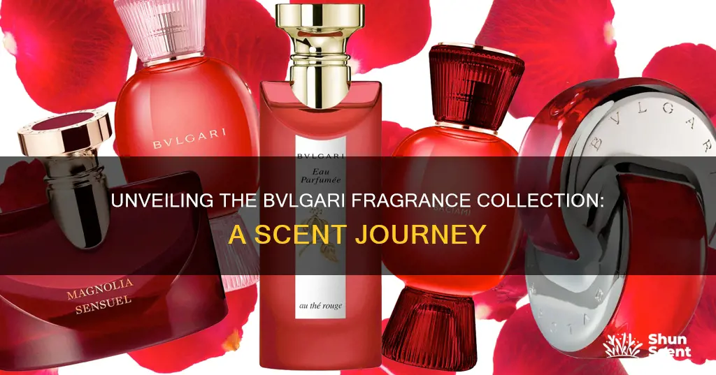 how many different bvlgari fragrances are there