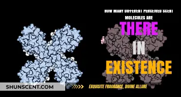 Exploring the Vast World of Perceived Scent Molecules in Existence