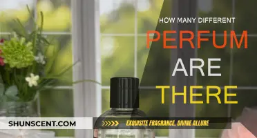 Explore the Vast World of Unique Perfumes