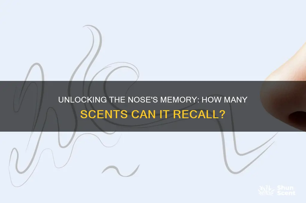 how many different scents can uour nose remember