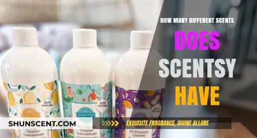 Exploring Scentsy's Extensive Fragrance Collection: A Scent for Every Mood