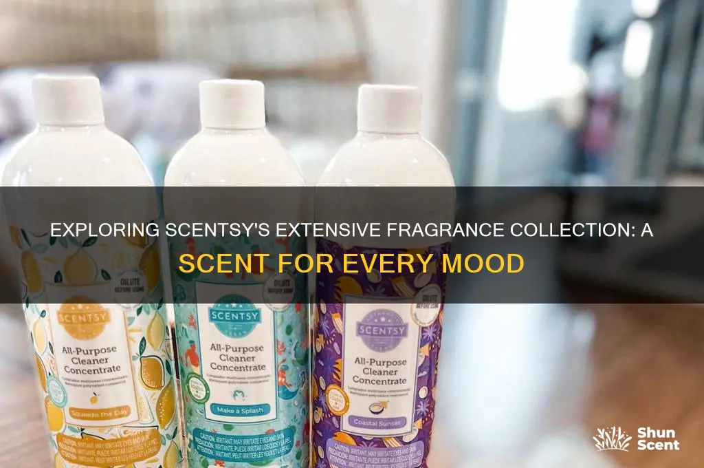 how many different scents does scentsy have