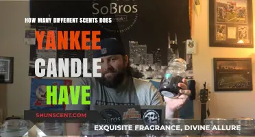Exploring the Vast Array of Yankee Candle Scents Available