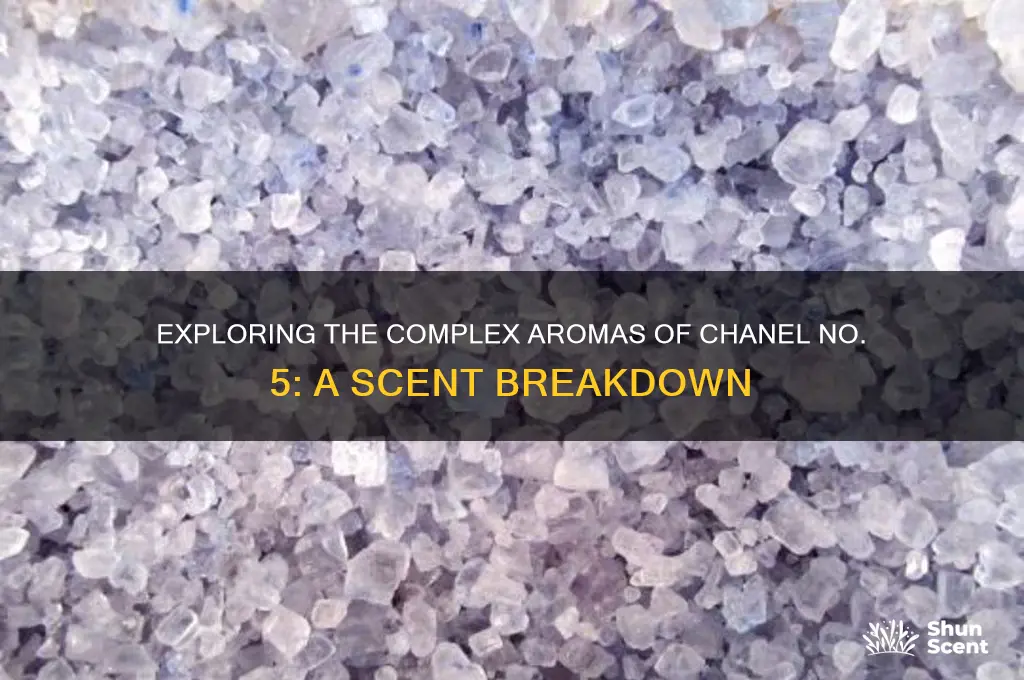 how many different scents in chanel number 5