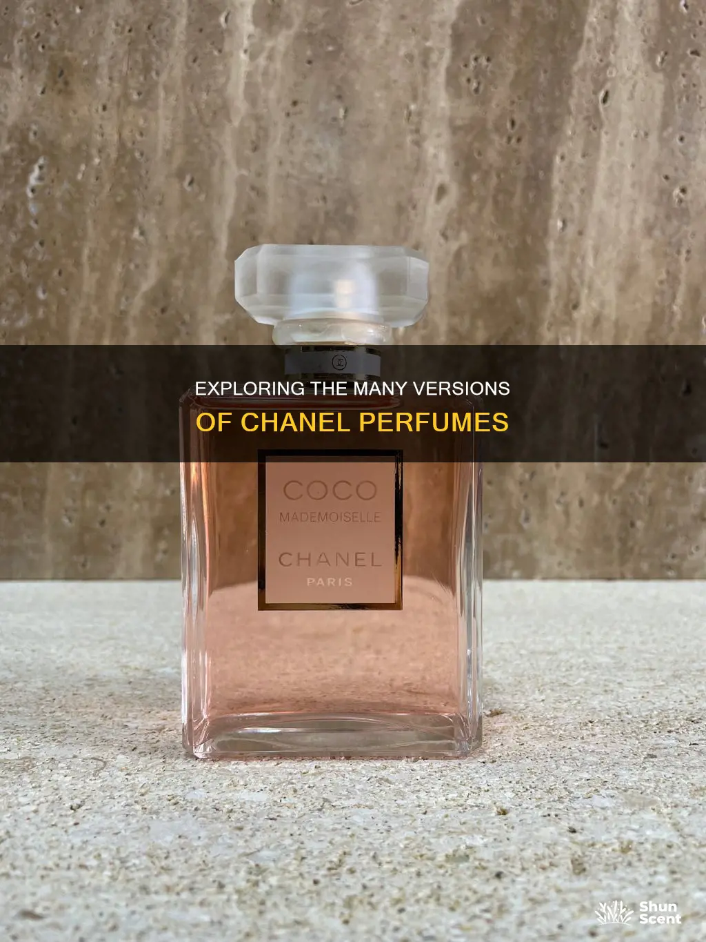 how many different version of chanel perfumes are there