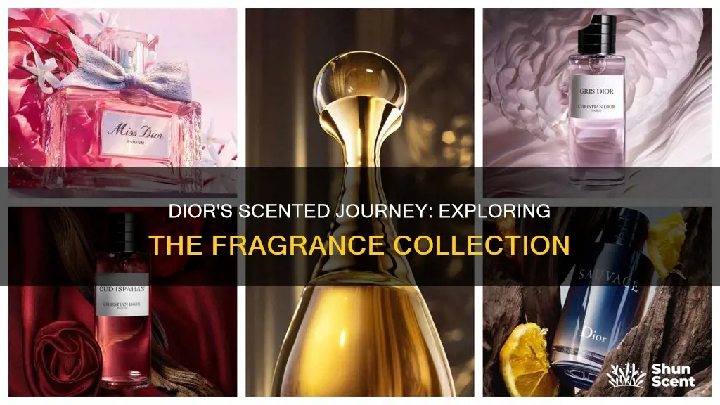 how many dior fragrances are there