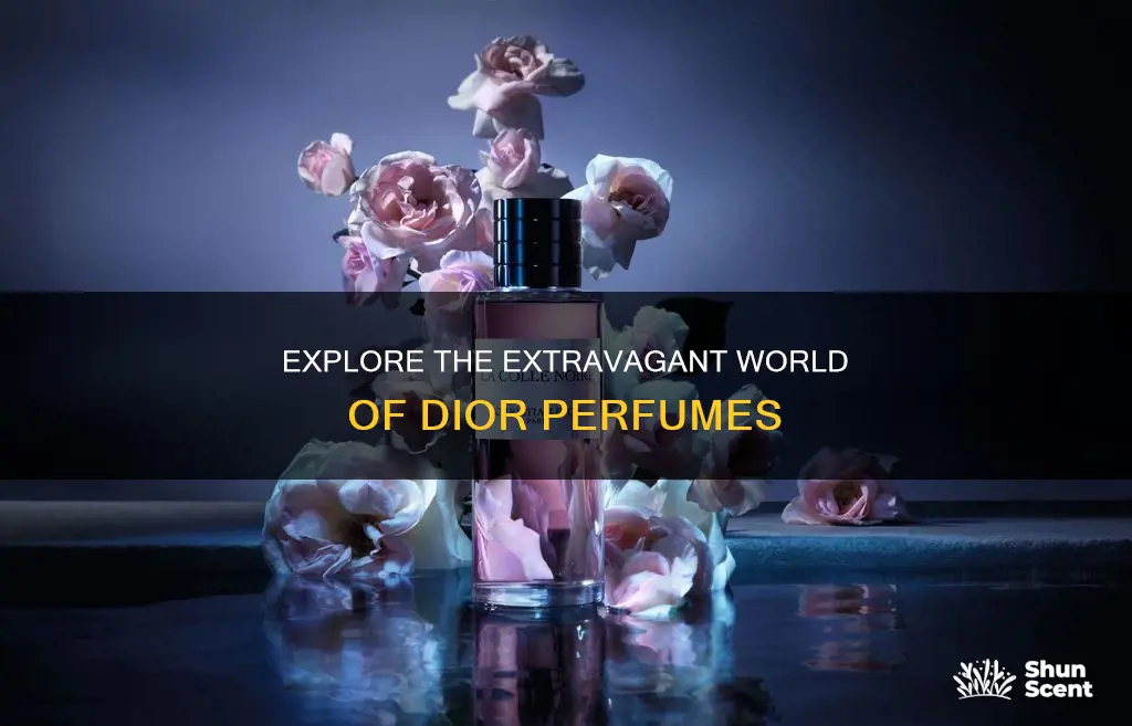 how many dior perfumes are there