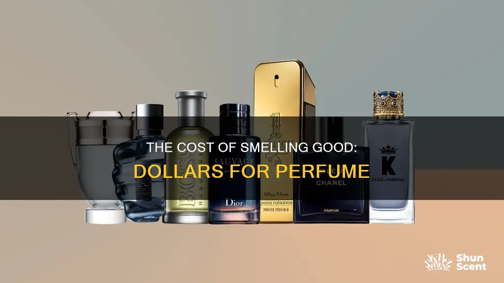 how many dollars to buy a perfume