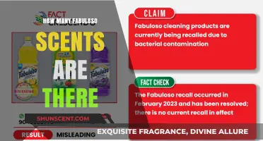 Discover the Variety of Fabuloso Scents Available Today