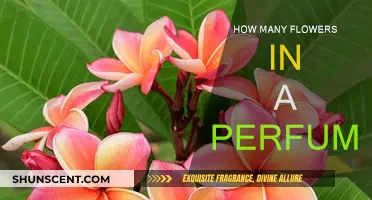 The Art of Floral Notes in Perfumes